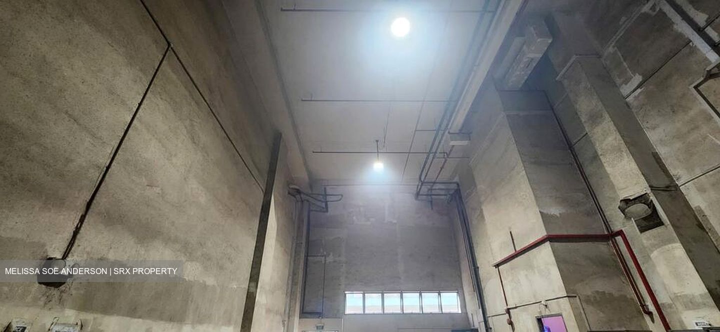 PLATINUM @ PIONEER (D22), Factory #515225091